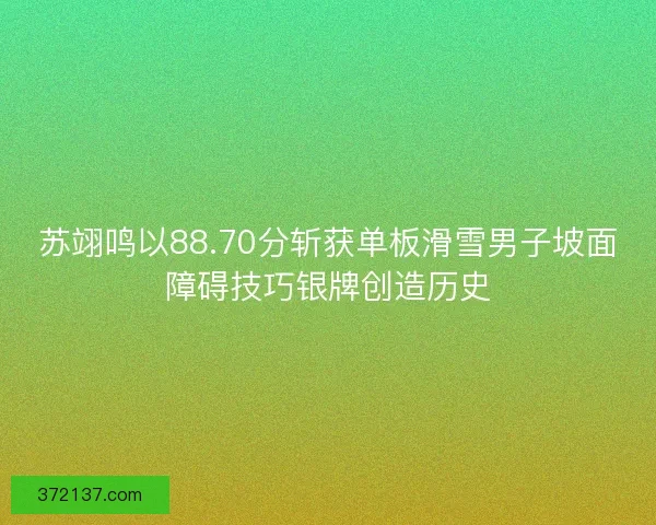 苏翊鸣以88.70分斩获单板滑雪男子坡面障碍技巧银牌创造历史