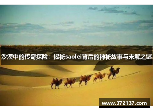 沙漠中的传奇探险：揭秘saolei背后的神秘故事与未解之谜
